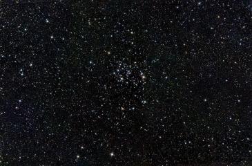M 50