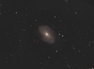 M 81