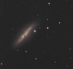 M 82