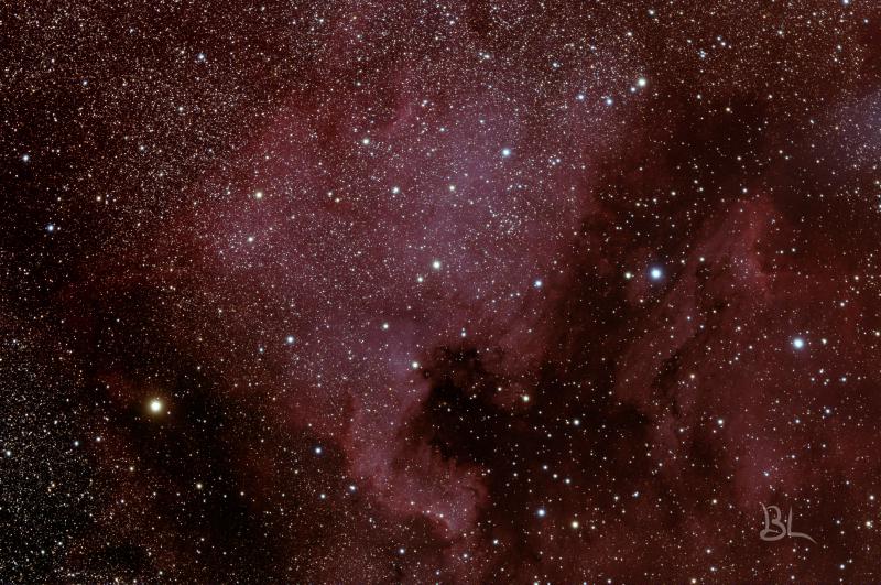 NGC 7000